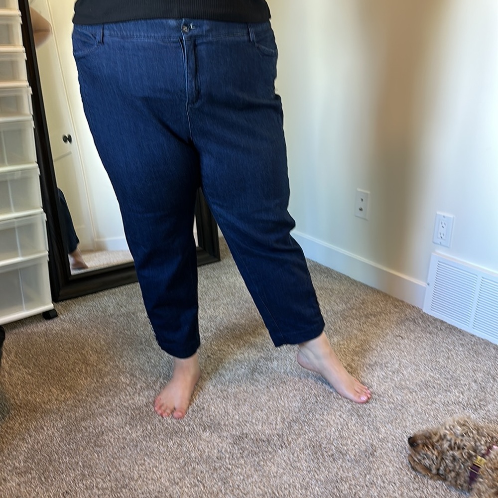 Plus-Size Cropped Denim Ankle Pants